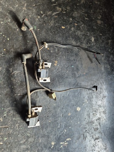 Coppia bobine honda gcv530 - bobine,