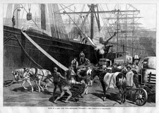 LONGSHOREMAN DOCKWORKER