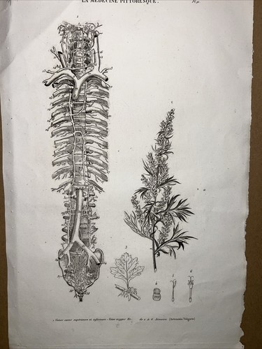 Incisione acciaio antica - su,