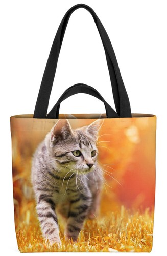 Gatto domestico tigreto borsa
