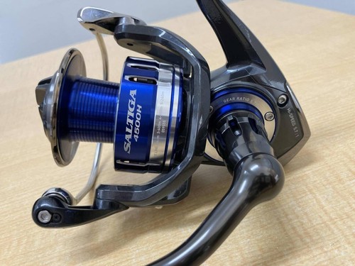 Daiwa saltiga 4500h - 4500h, big