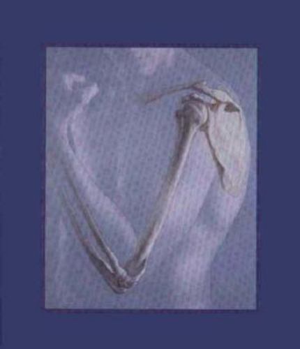 Human anatomy 9780132676915 - human,