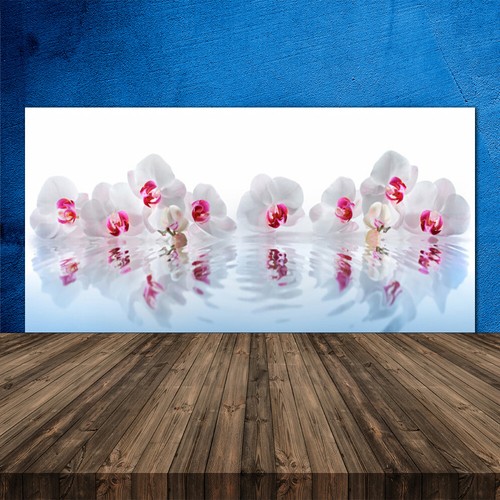 120x60 paraschizzi vetro - 120x60,