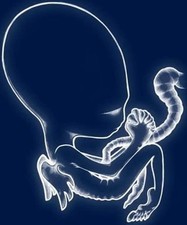 Vinile Nuovo - Sigur Ros -