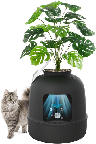Lettiera gatto con - lettiera,