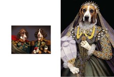 Cartoline cani,gatti e animali