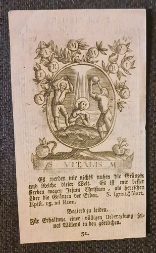 Immagine sacra vitalis - sacra,