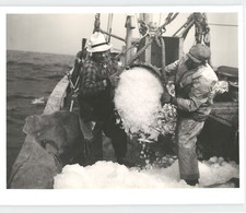 Beautiful AMERICAN Vintage