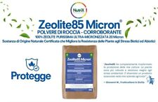 Zeolite PURA Micronizzata