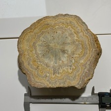 AGATE - AMERZGANE CERCE