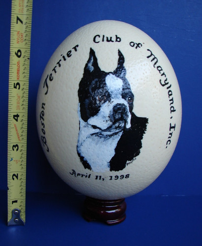 Vintage 1998 boston terrier - 1998,