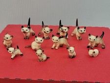 Lotto gattini siamesi Hagen