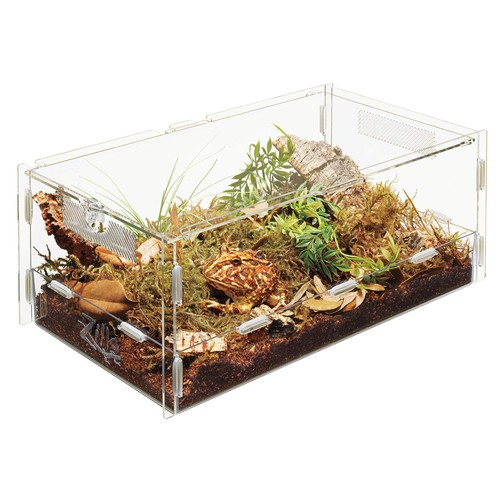 Zilla micro habitat - zilla, terrestre