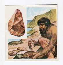 figurina CONOSCERE EDIS NUMERO