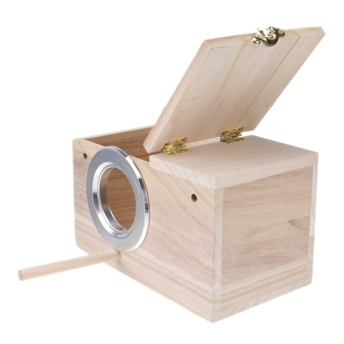 Budgie nest box allevamento - budgie,