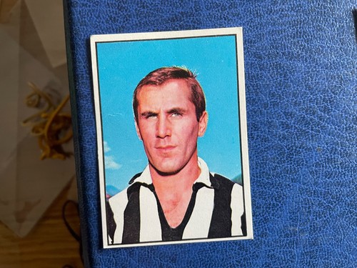 Panini calciatori 1965 - panini, 1965/66