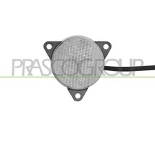 Retronebbia Centrale Ford