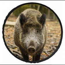 Copri Ruota di Scorta