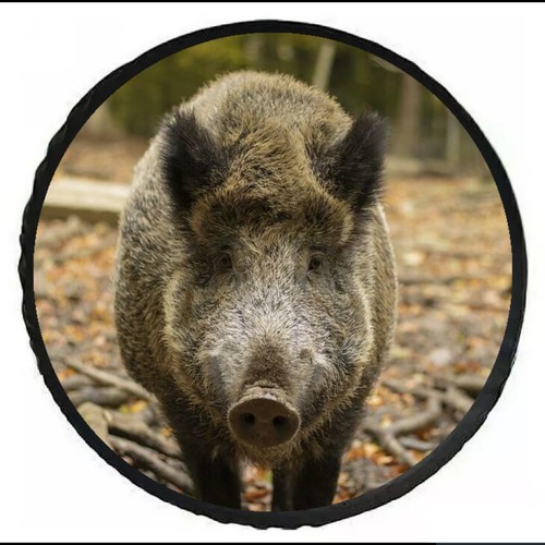 Copri ruota scorta - copri,