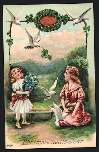 Colombe bianche con trifoglio - colombe,