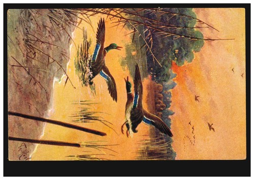 Cartolina artistica rösler - cartolina,