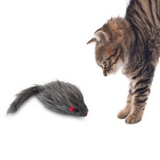 Giocattoli interattivi per