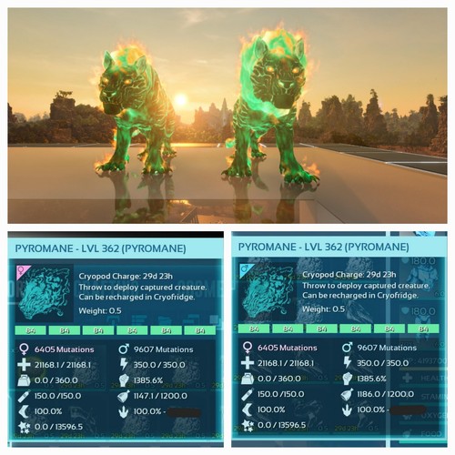 Ark asa pve - pve, coppia