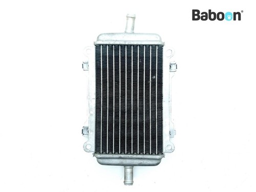 Radiatore piaggio vespa - radiatore,