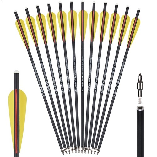 12pz frecce carbonio - frecce,