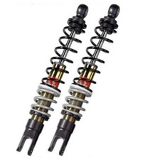 Coppia ammortizzatori