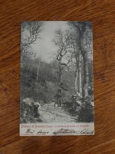 Cartolina Dintorni Brunate-la