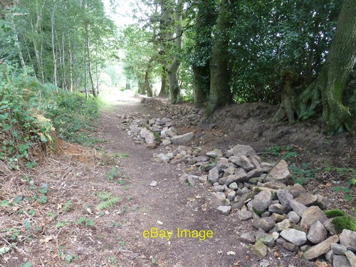 Photo 6x4 dry stone - dry,