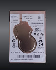 Seagate ST1000LM035 1RK172-036