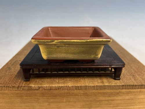 Sconosciuto vaso per bonsai - vaso,