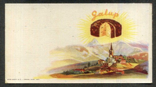 Panettone galup ferrua - ferrua,