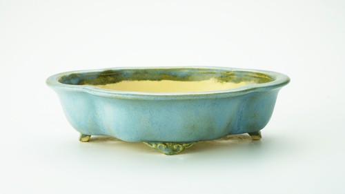 Vaso bonsai artigianale ovale