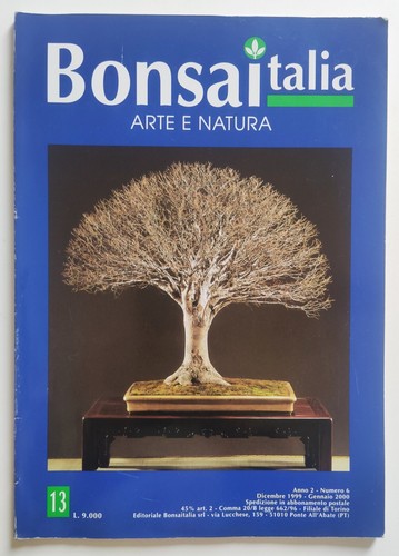 Rivista bonsaitalia arte - bonsaitalia,