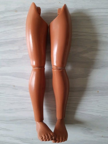 Paire jambe legs six - legs,