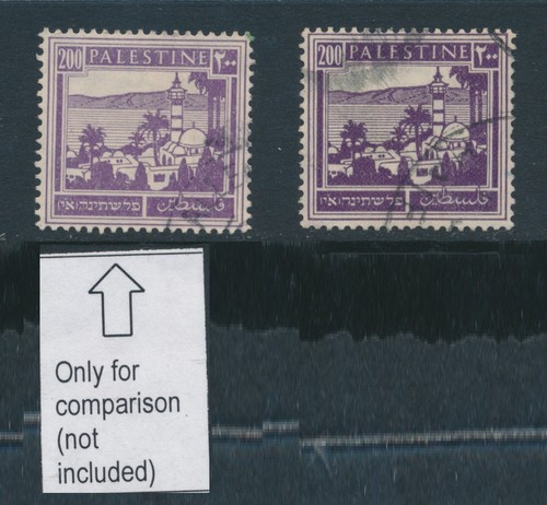 Palestina 1927 250m viola - palestina,,