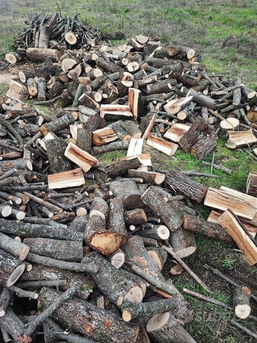 Legna ardere quercia - legna,