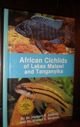 African cichlids lakes - of,
