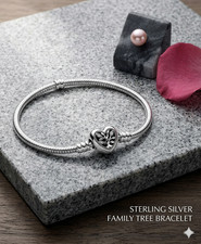 New pandora bracelet moments - new,