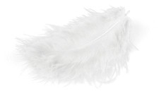 Meyco Marabu Piume Bianche 17