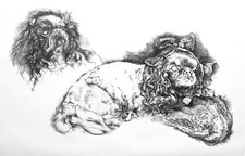 Renzo VESPIGNANI "La nomina