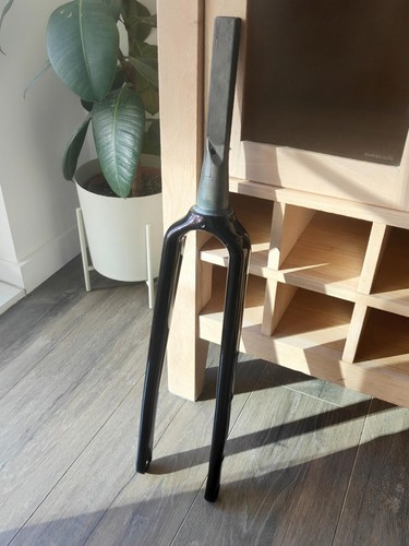 Forcella winspace carbonio - g2,