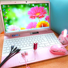 Sony Vaio EH 15 pollici con