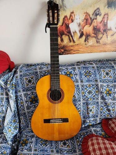 Chitarra classica - chitarra,