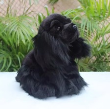 American Cocker Spaniel Cane