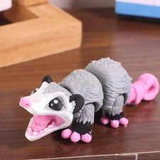 Opossum Compagno Sensoriale