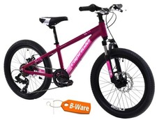 Mountain bike in alluminio 20